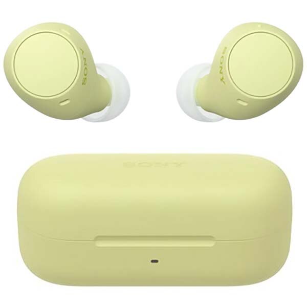 Sony WF-C510 Truly Wireless Earbuds | Brown Bookstore